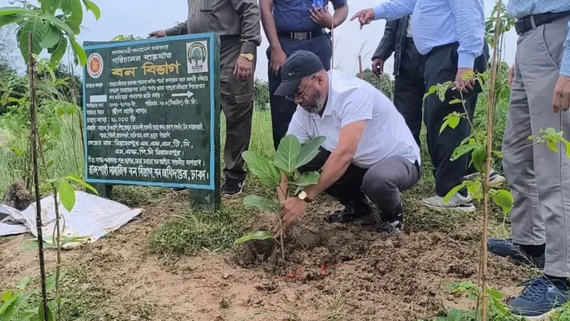 নওগাঁয় বৃহৎ বনায়ন কর্মসূচি উদ্বোধন করলেন প্রতিমন্ত্রী শেখ ফরিদুল ইসলাম  পরিবেশ সংবাদ